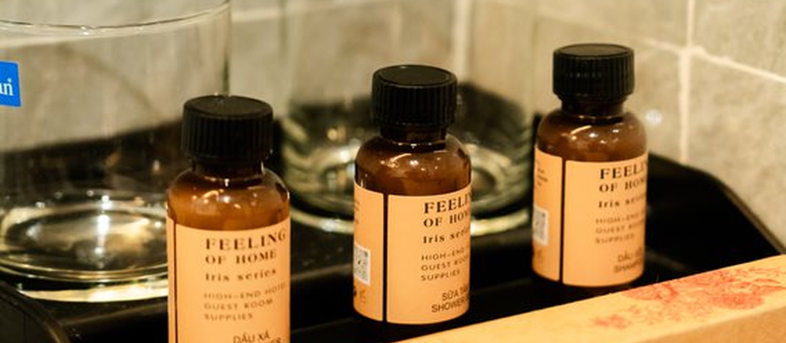 Phòng Family 3 Người - ECO HOUSE