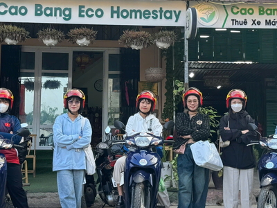 Honda WAVE alpha 110cc