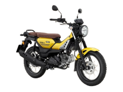 YAMAHA PG1