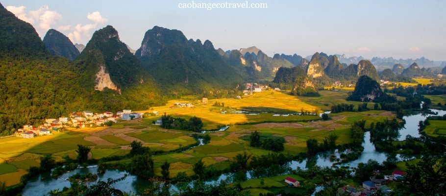 7 Places to Catch the Golden Rice Season in Cao Bang
