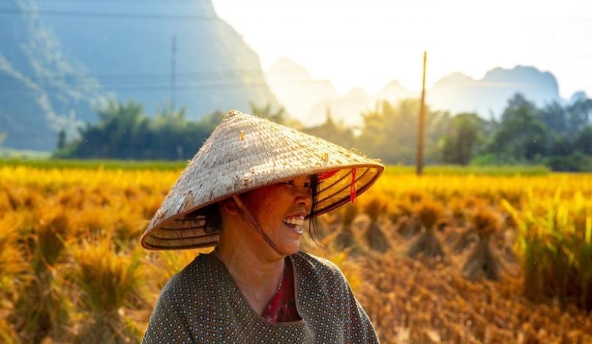 7 Places to Catch the Golden Rice Season in Cao Bang