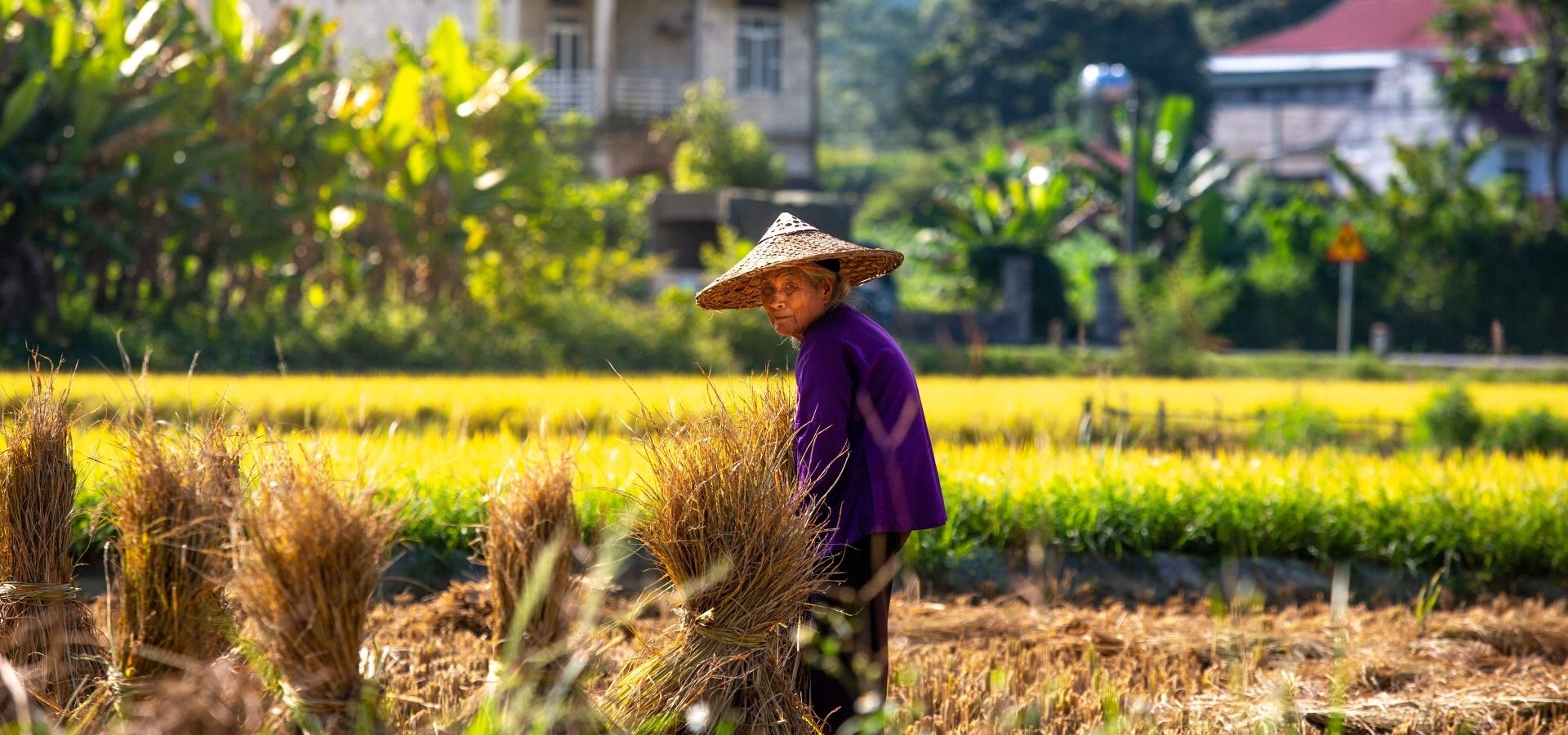 Cao Bang Eco Travel