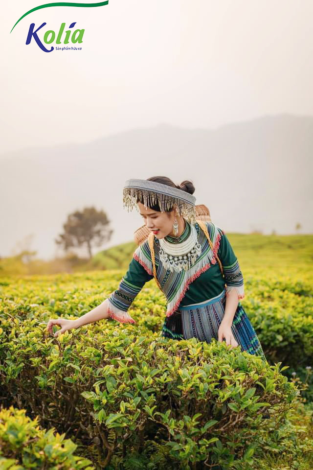 Kolia Eco-tourism area