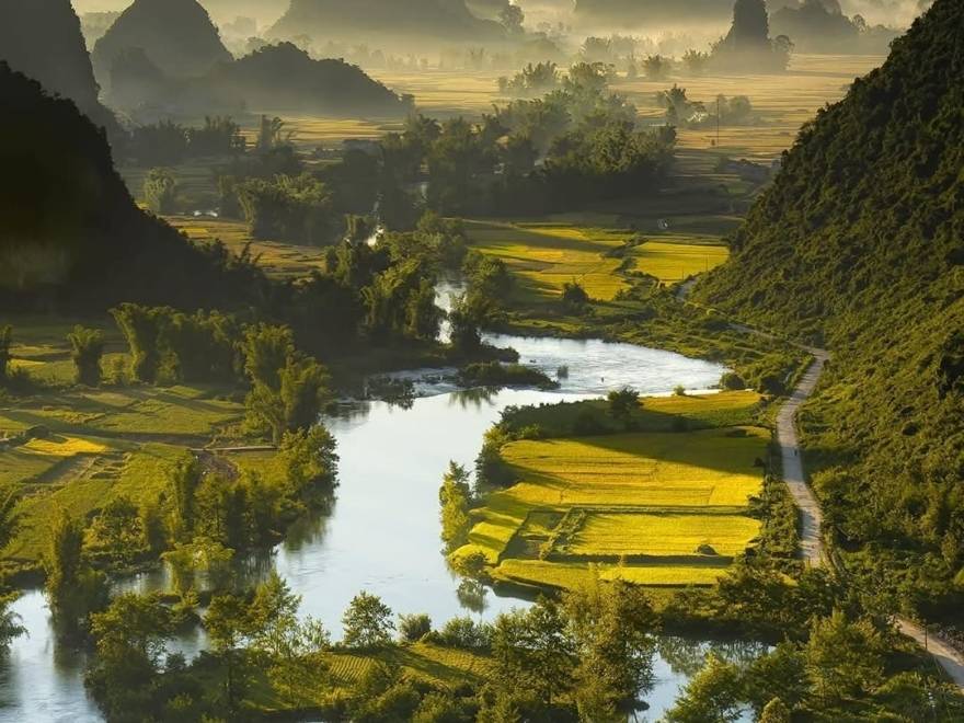 Panoramic view of Phong Nam Valley in Cao Bang during the golden harvest season in October, showing the best time to visit for scenery and weather.